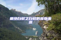 根絕白蟻之白蟻的食物來源