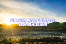 滅蟲公司防控與引誘結合，讓害蟲無處遁形