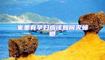 家里有孕婦應該如何滅蟑螂