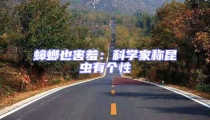 蟑螂也害羞:科學家稱昆蟲有個性