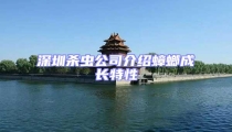 深圳殺蟲公司介紹蟑螂成長特性