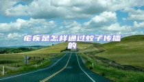 瘧疾是怎樣通過蚊子傳播的