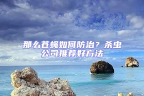 那么蒼蠅如何防治？殺蟲(chóng)公司推薦好方法
