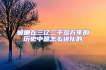蟑螂在三億二千多萬(wàn)年的歷史中是怎么進(jìn)化的