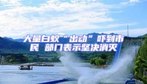大量白蟻“出動(dòng)”嚇到市民 部門(mén)表示堅(jiān)決消滅