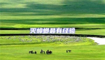 滅蟑螂最有經驗