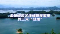 殺蟑螂需關(guān)注蟑螂在家里的三大“駐地”