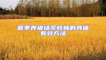 夏季養(yǎng)豬場滅蚊蠅的具體有效方法