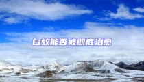 白蟻能否被徹底治愈