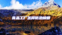 食品工廠怎樣防治蟑螂