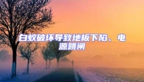 白蟻破壞導(dǎo)致地板下陷、電源跳閘
