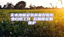 實木地板安裝前最好做防蟲白蟻工作 后期需定期維護(hù)