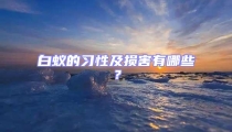 白蟻的習性及損害有哪些?