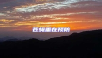 蒼蠅重在預(yù)防