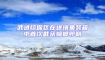 武進綜保區在進境集裝箱中首次截獲蟑螂卵鞘