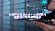 家里有老鼠怎么辦?8招驅鼠方法教你趕走家里的老鼠