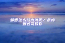 蟑螂怎么徹底消滅？殺蟑螂公司教你