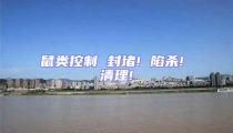 鼠類控制 封堵! 陷殺! 清理!