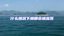 什么情況下蟑螂會被凍死