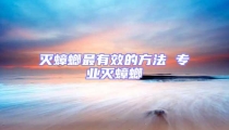 滅蟑螂最有效的方法 專業(yè)滅蟑螂