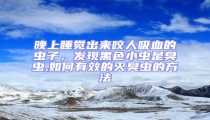 晚上睡覺出來咬人吸血的蟲子,發現黑色小蟲是臭蟲,如何有效的滅臭蟲的方法
