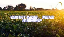 老鼠有什么危害,我們應(yīng)該如何防護(hù)