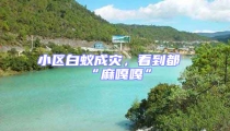 小區(qū)白蟻成災(zāi),看到都“麻嘎嘎”
