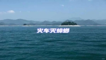 火車(chē)滅蟑螂