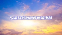 滅殺白蟻勿用普通殺蟲劑