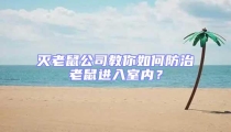 滅老鼠公司教你如何防治老鼠進入室內?