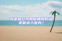 滅老鼠公司教你如何防治老鼠進入室內？