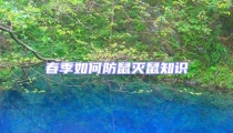 春季如何防鼠滅鼠知識