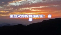 家庭滅蟑的最佳時(shí)機(jī):春季