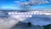 屋內(nèi)臭蟲(chóng)成災(zāi)怎樣更好的預(yù)防臭蟲(chóng)
