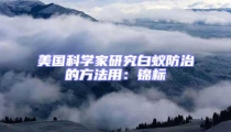 美國科學(xué)家研究白蟻防治的方法用:錦標(biāo)
