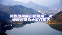蟑螂因何能迅速繁殖,滅蟑螂公司為大家介紹下