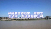 蟑螂的主要危害,蟑螂怎么消滅,深圳殺蟑螂公司