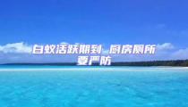 白蟻活躍期到 廚房廁所要嚴防