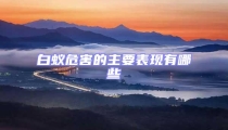 白蟻危害的主要表現(xiàn)有哪些