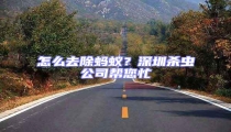 怎么去除螞蟻?深圳殺蟲(chóng)公司幫您忙