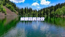 蟑螂藥的功效