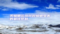 滅蟑螂公司針對(duì)蟑螂蟲害的最佳防制