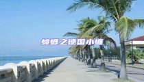 蟑螂之德國小蠊