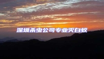深圳殺蟲公司專業滅白蟻