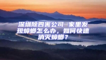 深圳除四害公司 家里發現蟑螂怎么辦，如何快速消滅蟑螂？