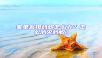 家里發(fā)現(xiàn)螞蟻怎么辦?怎么消滅螞蟻?