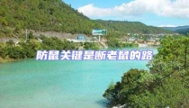 防鼠關鍵是斷老鼠的路