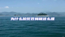 為什么拍死蒼蠅就這么難