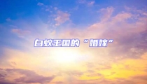 白蟻王國的“婚嫁”