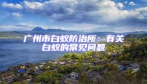 廣州市白蟻防治所:有關白蟻的常見問題